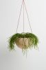 Terrazzo Dome Hanging Planter | Vases & Vessels by Capra Designs