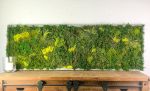Living Moss Wall Art Dimensional Painting, Moss and Fern | Living Wall in Plants & Landscape by Sarah Montgomery