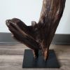 Driftwood Sculpture "Caymen Strait" | Sculptures by Sculptured By Nature  By John Walker. Item made of wood works with minimalism style