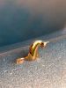 Grooming Cat in Gold | Sculptures by YENNY COCQ