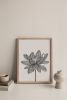 Lotus Flower Print, Botanical Black & White Wall Art | Prints by Carissa Tanton. Item composed of paper