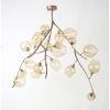 Alan Mizrahi IQ20570 Wineroy | Chandeliers by Alan Mizrahi Lighting Design