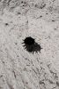 Spikes Black Decorative Vase V | Vases & Vessels by OWO Ceramics