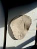 The Terra plate 5 | Ceramic Plates by Laura Dujoncquoy