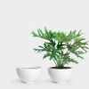 Milton 41 Large Planter | Vases & Vessels by Greenery Unlimited