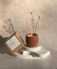 Naso Series | Orma Candle | Candle Holder in Decorative Objects by Amanita Labs