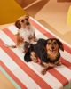 Penny Dog Bed | Pillow in Pillows by MINNA