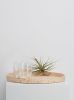 Tray Set | Decorative Tray in Decorative Objects by Capra Designs