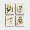 Farmhouse Botanical Print Set, Set of 4 botanical prints | Prints by Capricorn Press. Item composed of paper compatible with boho and country & farmhouse style