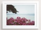 Rest our eyes open | Photography by She Hit Pause. Item composed of paper