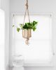 6" Golden Pothos + Hanging basket | Plant Hanger in Plants & Landscape by NEEPA HUT. Item made of wood with fiber