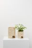 Archie Planter | Vases & Vessels by Capra Designs