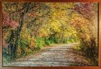 Katy Trail Fall | Photography by Coblitz Creative Concepts, LLC. Item compatible with contemporary style