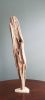 Driftwood Sculpture "Longevity" | Sculptures by Sculptured By Nature  By John Walker. Item made of wood works with minimalism style