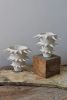 Spikes White Ceramic Flower Vase V | Vases & Vessels by OWO Ceramics. Item made of ceramic
