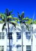 South Beach Sisters | Photography by Neon Dunes by Lily Keller