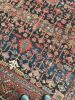 AMAZING Antique Rug BLOOMING MIDNIGHT JUNGLE Antique Rug | Area Rug in Rugs by The Loom House. Item made of wool