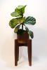 Mortised Plant Stand | Plants & Landscape by Oliver Inc. Woodworking. Item composed of oak wood