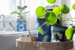 Wild Silk Shibori Baskets-Turtle Pattern- Sapphire & Natural | Storage Basket in Storage by Tanana Madagascar. Item made of canvas