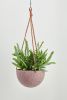 Terrazzo Dome Hanging Planter | Vases & Vessels by Capra Designs