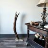 Driftwood Art Sculpture "Battle Tested Bow" | Sculptures by Sculptured By Nature  By John Walker. Item made of wood compatible with minimalism style