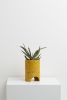 Archie Planter | Vases & Vessels by Capra Designs