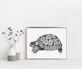 Tortoise Art Print, Black and White Print | Prints by Carissa Tanton. Item made of paper