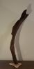 Large Driftwood Sculpture "Chocolate Frond" with Marble Base | Sculptures by Sculptured By Nature  By John Walker. Item composed of wood in minimalism style