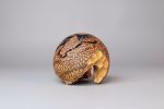 Eroded Sphere | Sculptures by Wood Alchemist Studio. Item composed of wood