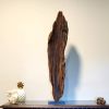 Driftwood Art Sculpture "BBQ Wing" | Sculptures by Sculptured By Nature  By John Walker. Item made of wood works with minimalism style