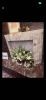 Handmade Calacatta Monet Marble Fireplace Mantel - Fully Customizable | Fireplaces by AEGEAN MARBLE ARTISAN ATELIER