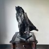 Large Driftwood Art Sculpture "Eagle Rare" | Sculptures by Sculptured By Nature  By John Walker. Item composed of wood compatible with minimalism style