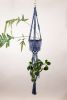 Double Basket Plant Hanger | Plants & Landscape by Modern Macramé by Emily Katz. Item made of cotton