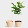 Kent 48 Large Planter | Vases & Vessels by Greenery Unlimited