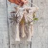 Macrame Air Plant Hanger | Plants & Landscape by Rosie the Wanderer. Item made of wood with cotton