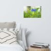 Asiatic Dayflower Floral Nature Photo Wall Art Print | Photography by PIPA Designs