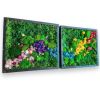Wall Art Decor Moss Plants Dried Flower Art, Indoor Green | Living Wall in Plants & Landscape by Sarah Montgomery