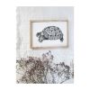 Tortoise Art Print, Black and White Print | Prints by Carissa Tanton. Item made of paper