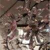 Alan Mizrahi IQ8061 Plum Blossom | Chandeliers by Alan Mizrahi Lighting Design