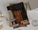 Newsstand Dog | Prints by The Ugly Cat Studio