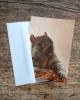 Squirrel with Bagel Greeting Card – Wildlife Art Birthday Card (5"x7") | Gift Cards by The Ugly Cat Studio