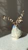 Bud vase | Vases & Vessels by TinyDogCeramics. Item made of ceramic