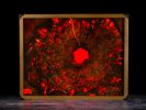 Lucidity - Illuminated wood and resin wall art | Mixed Media by Scott Williams - Unique Originals