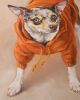 Eastern Passage Dog | Prints by The Ugly Cat Studio