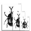 Beetle no.2 Giclée Print | Prints by Odd Duck Press