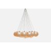 Alan Mizrahi IQ2076 Kadur Frost | Chandeliers by Alan Mizrahi Lighting Design