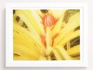 Spoonfuls of Yellow | Photography by She Hit Pause. Item made of paper