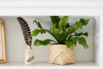 6" Bird's Nest Fern + Basket | Planter in Vases & Vessels by NEEPA HUT. Item composed of wood