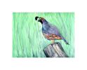 Quirky Fellow | Prints by Brazen Edwards Artist. Item made of canvas & paper