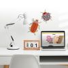Bug #12 | Wall Hangings by Umasqu